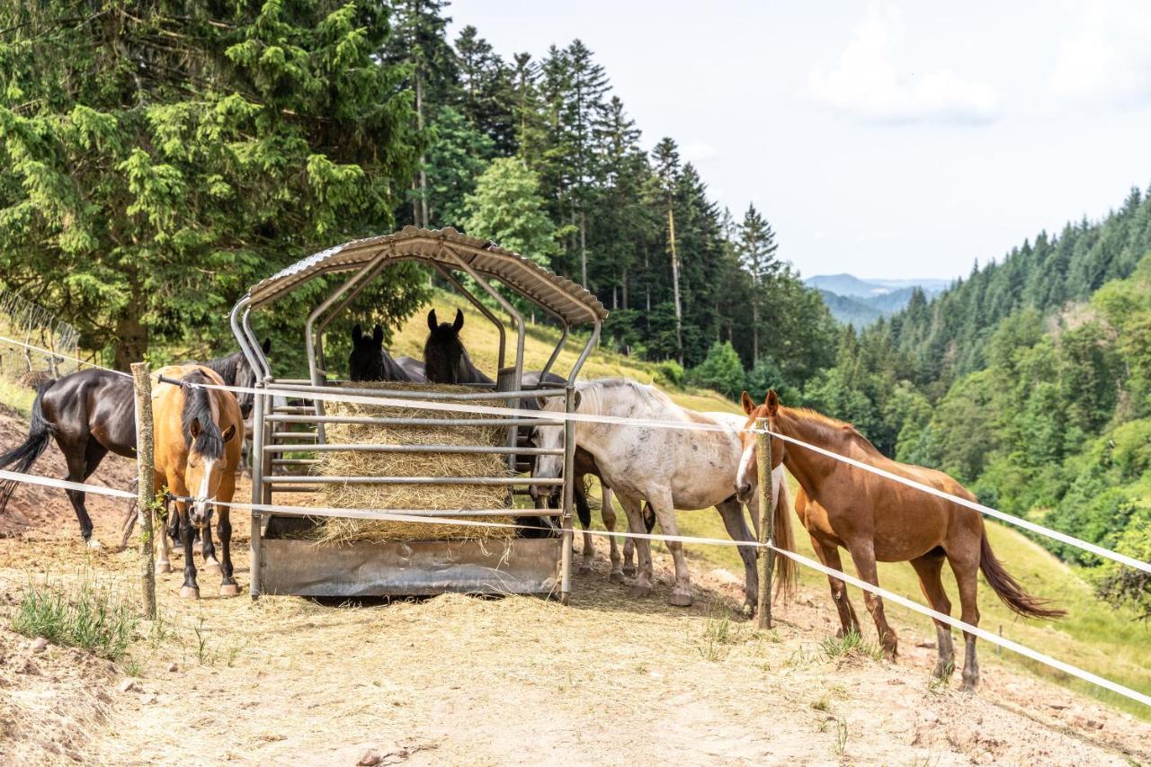 Ferienhaus Giessler Nordrach Bagian luar foto